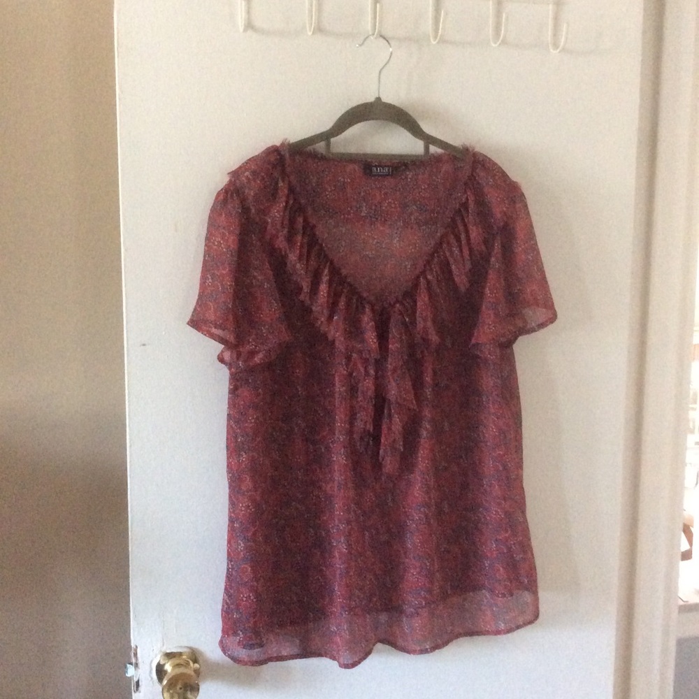 Ana sheer blouse 1x